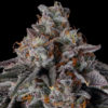 Lemon Cherry Pie (Slips)