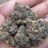 blue sherbert