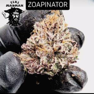 Zoapinator (Tiki Madman Cut)